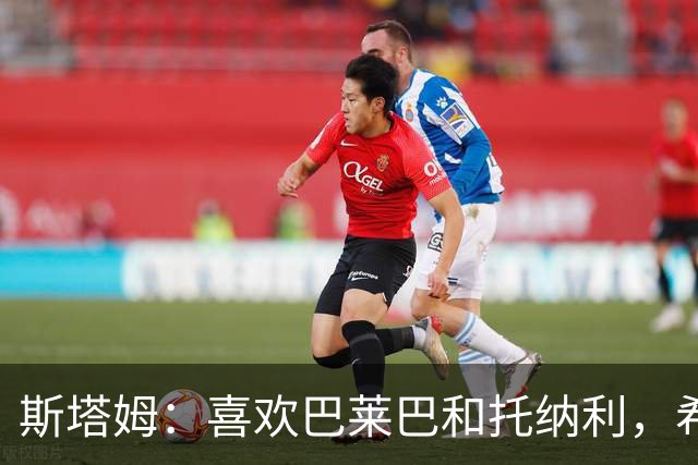 斯塔姆：喜欢巴莱巴和托纳利，希望他们能加盟曼联